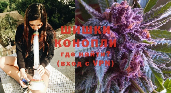 mdpv Елизово