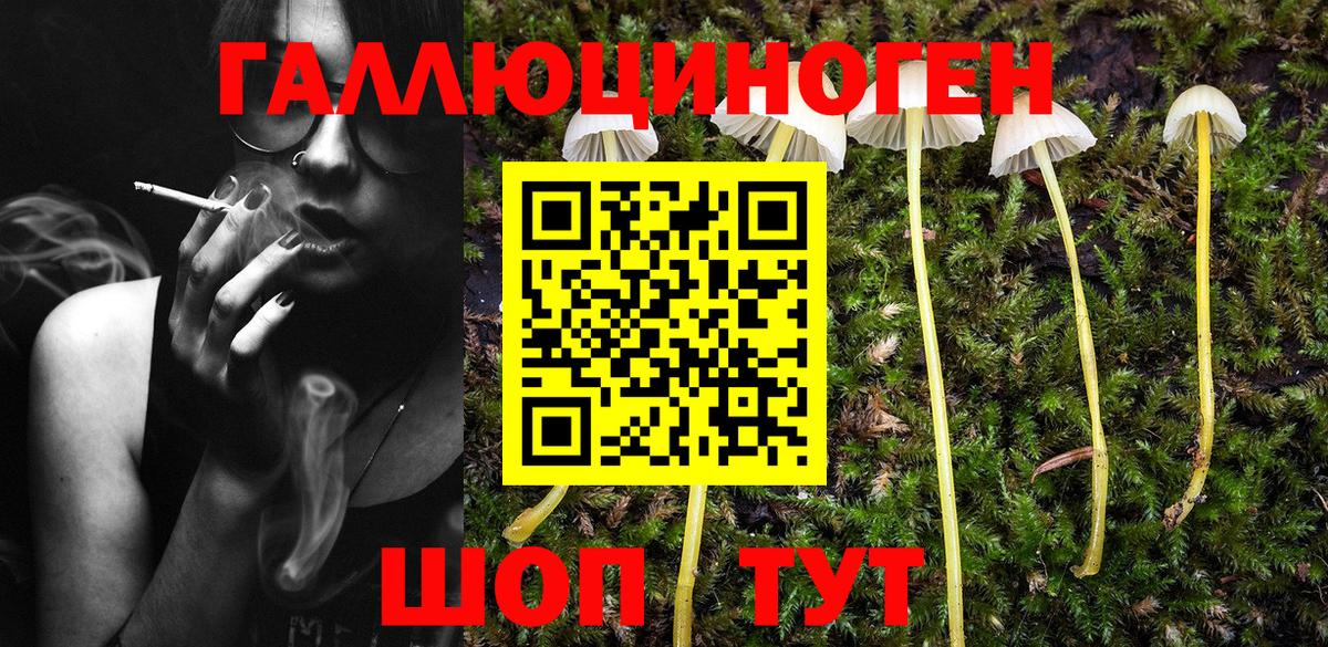 Галлюциногенные грибы мицелий  Вход с VPN  Псков 